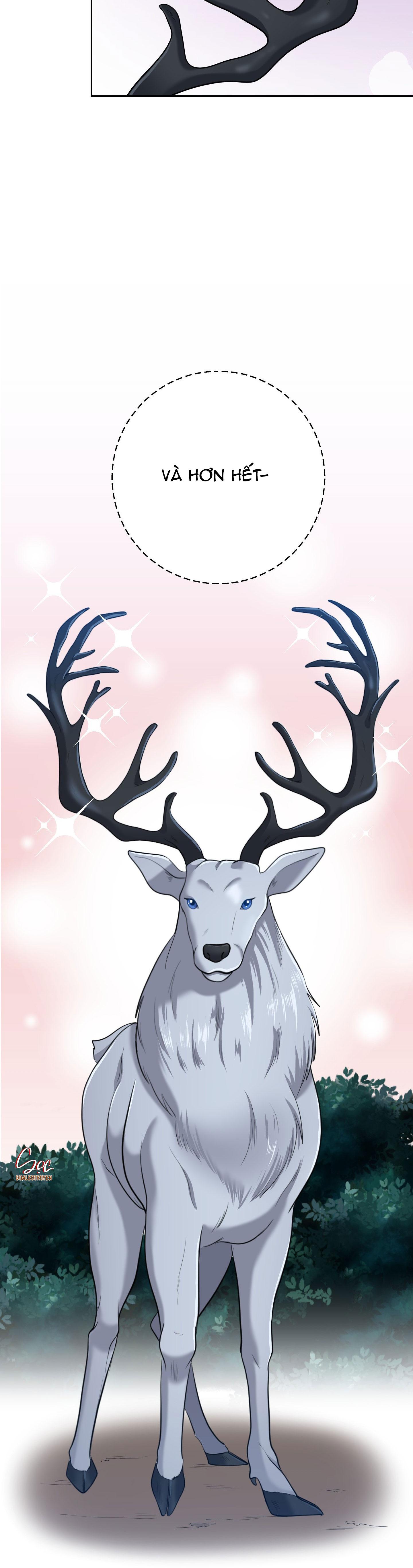 CÔNG TƯỚC MUỐN CÓ CON NỐI DÕI - Chap 28