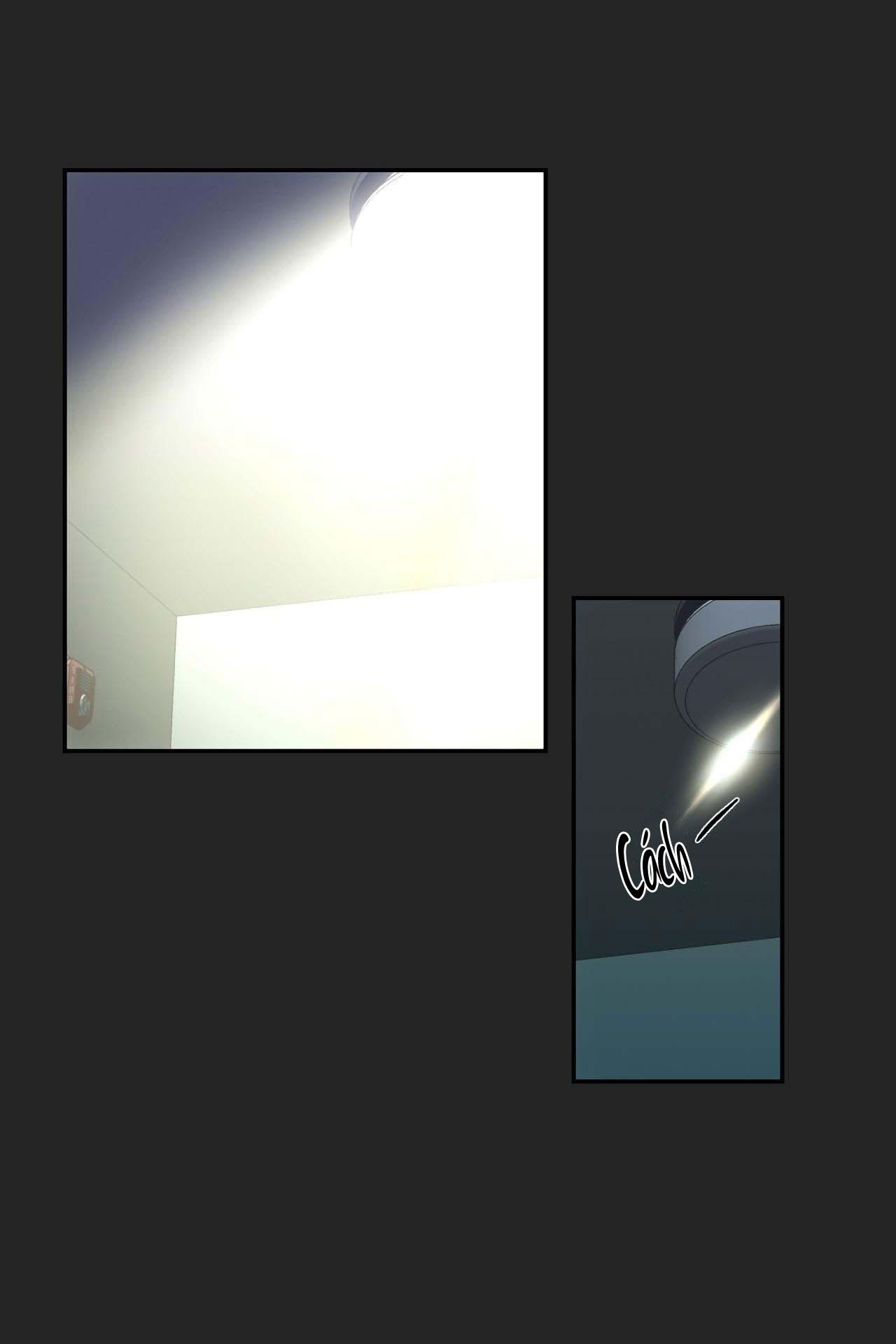 NERD PROJECT - Chap 19