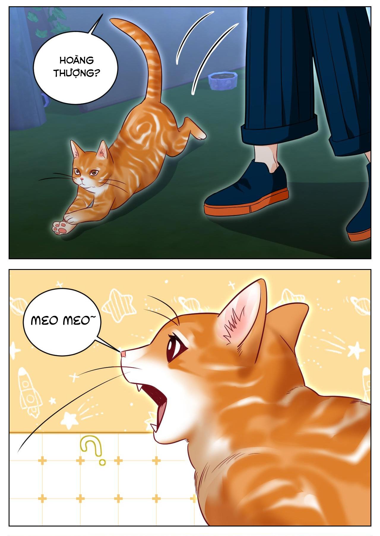 Ký túc xá nam phòng 303 - Chap 238