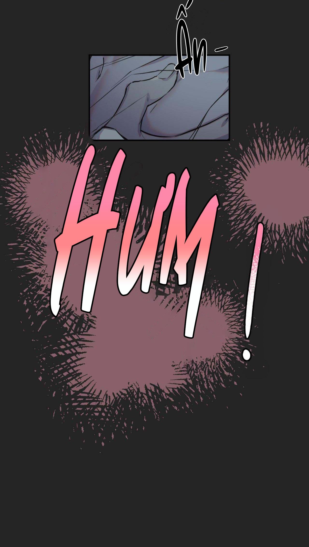 NERD PROJECT - Chap 19