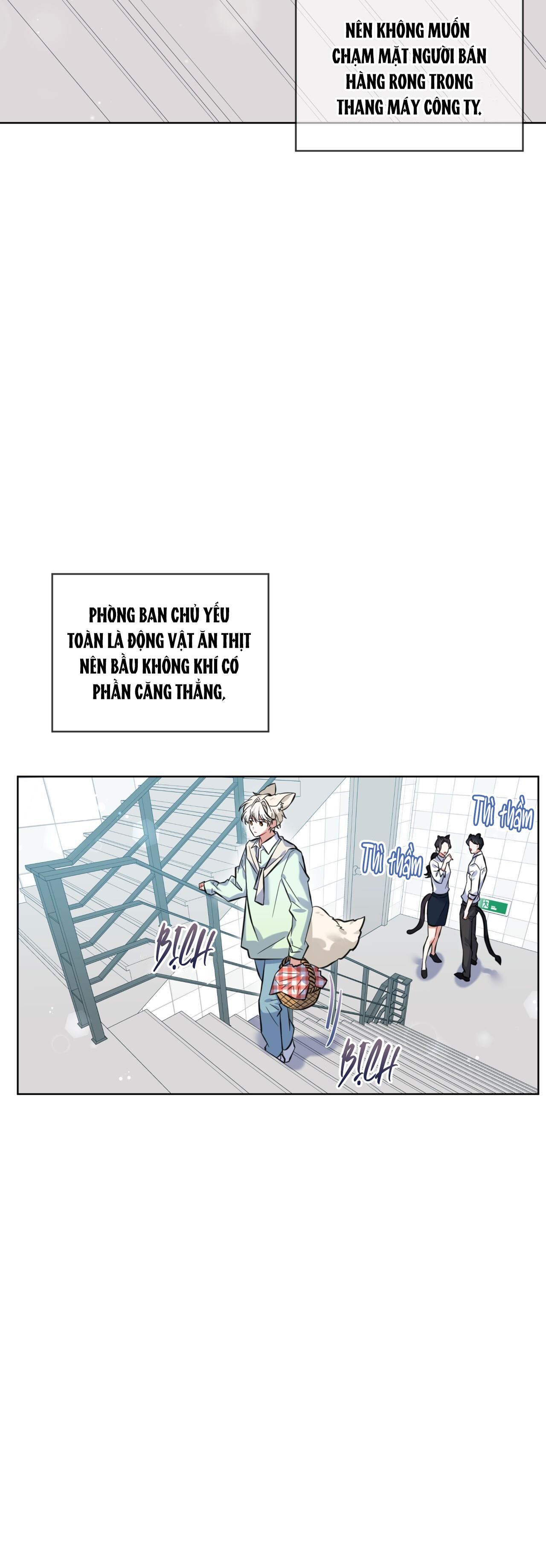 NƯỚC UỐNG TÌNH YÊU CỦA CÁO PLIN - Chap 1