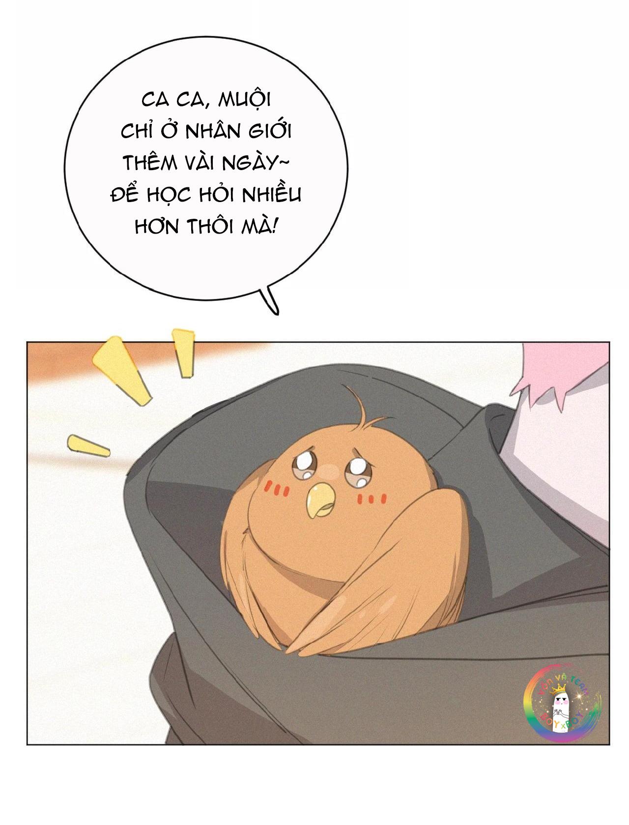 Xã Hội Mồn Lèo - Chap 50