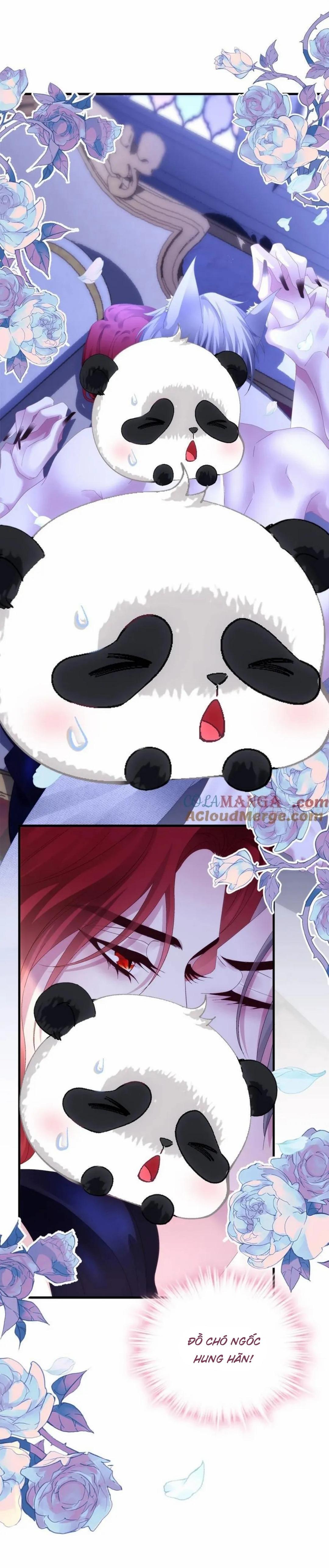 Thánh Tâm không dễ chọc - Chap 56