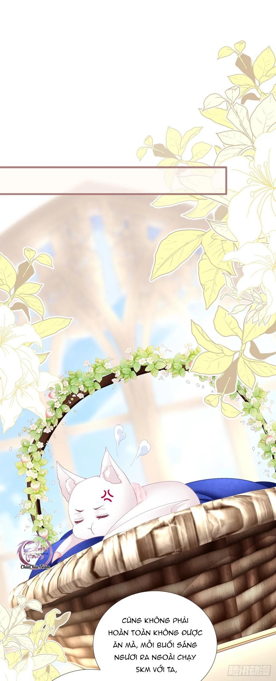 Thánh Tâm không dễ chọc - Chap 73