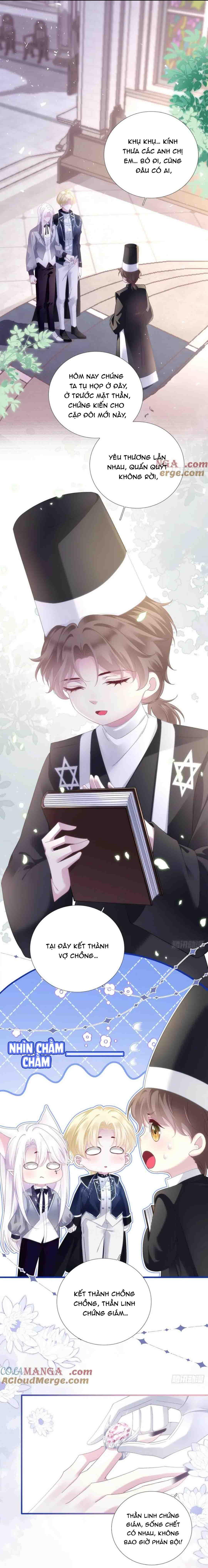 Thánh Tâm không dễ chọc - Chap 77