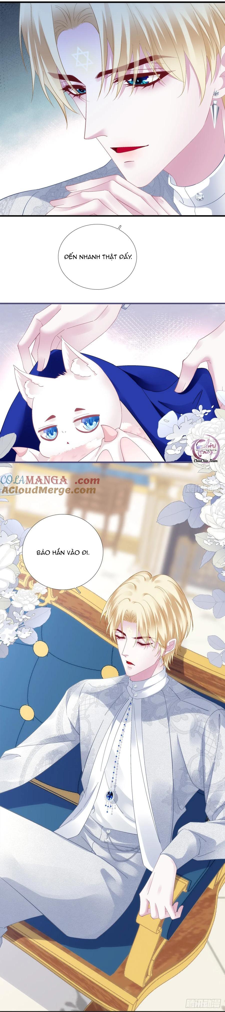 Thánh Tâm không dễ chọc - Chap 73