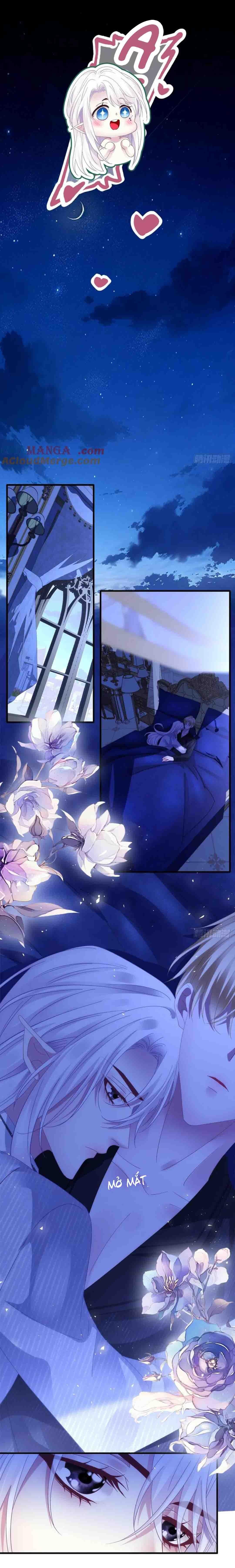 Thánh Tâm không dễ chọc - Chap 78