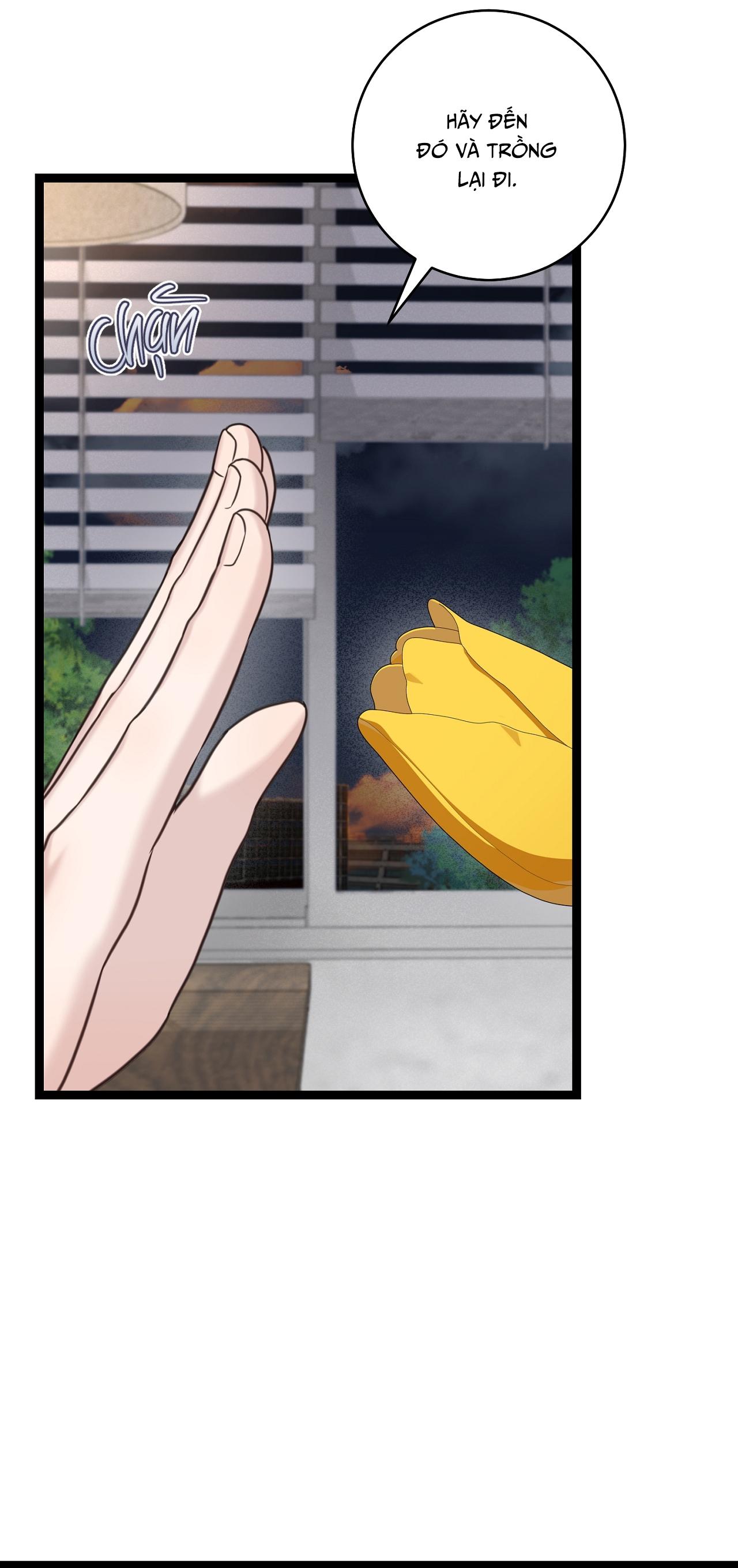 BÁU VẬT CỦA GUIDE - Chap 10