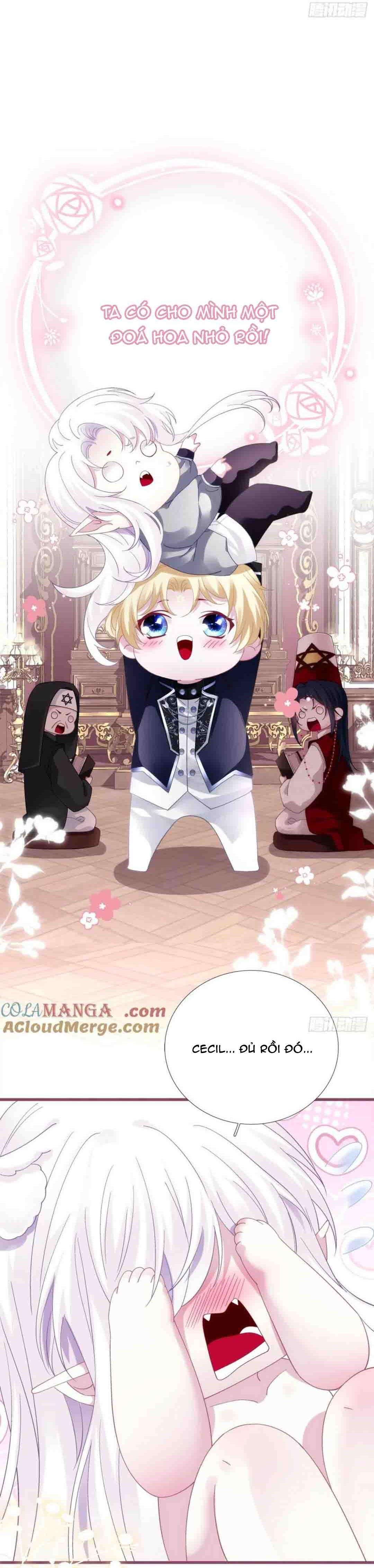 Thánh Tâm không dễ chọc - Chap 77