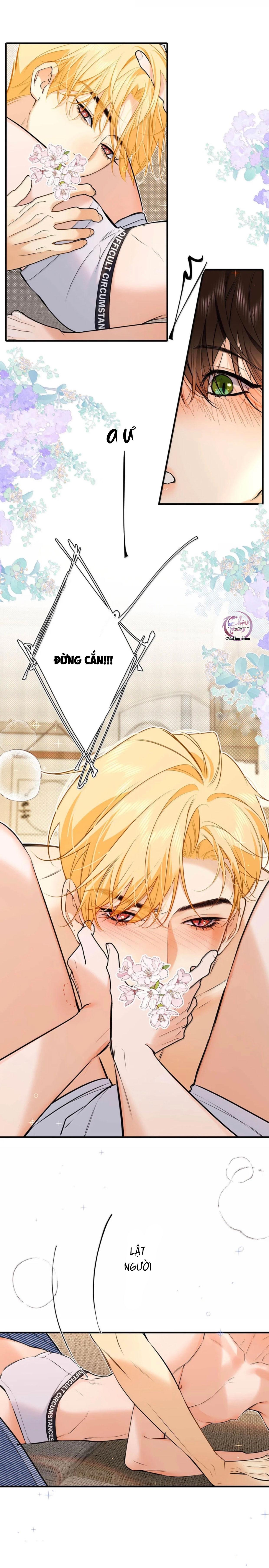 Bắt đầu làm bạn trai từ số 0 - Chap 57