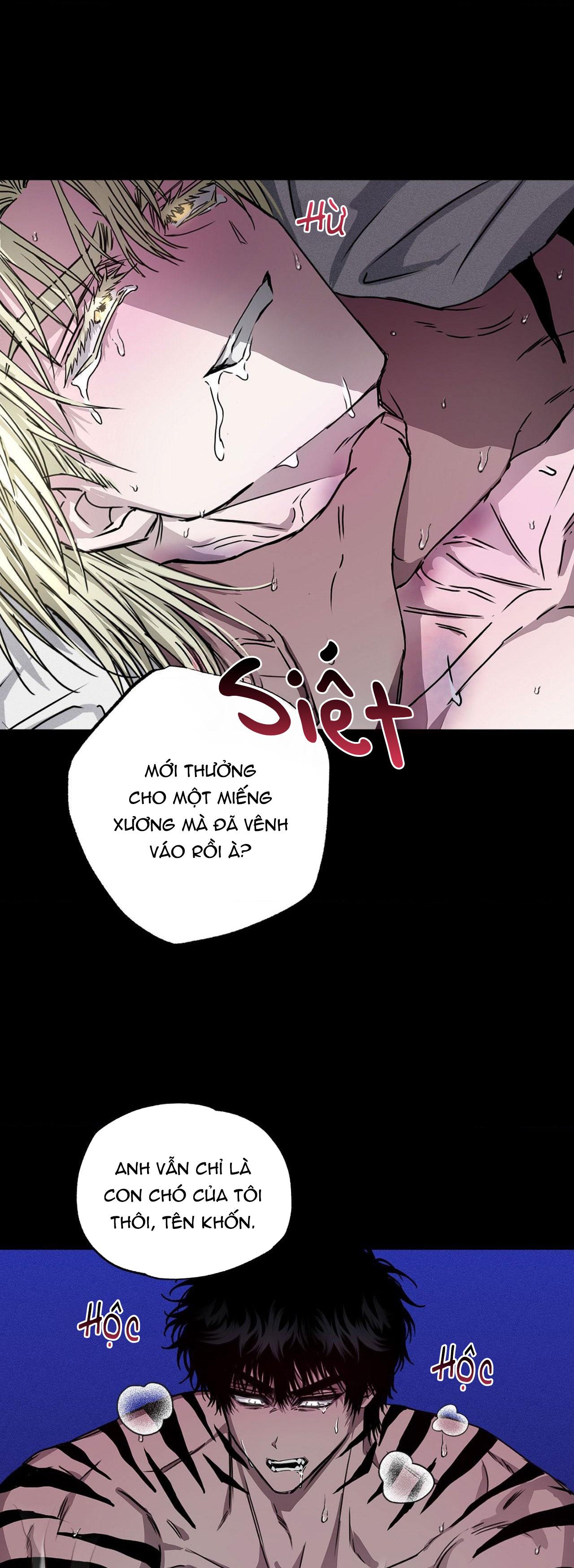 MẮT BÃO - Chap 6