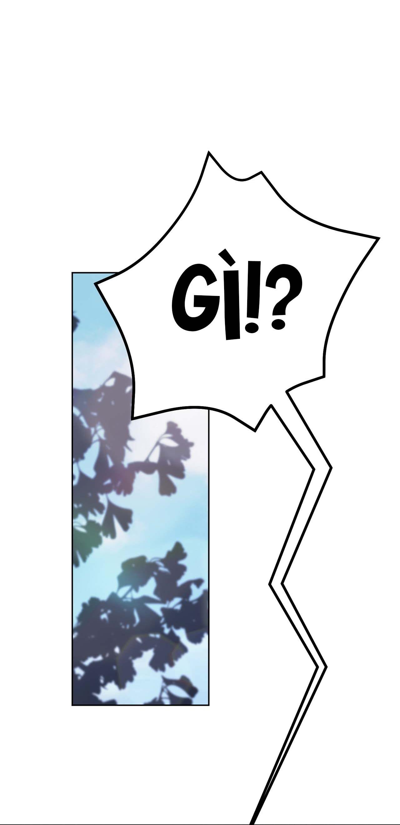 NERD PROJECT - Chap 38