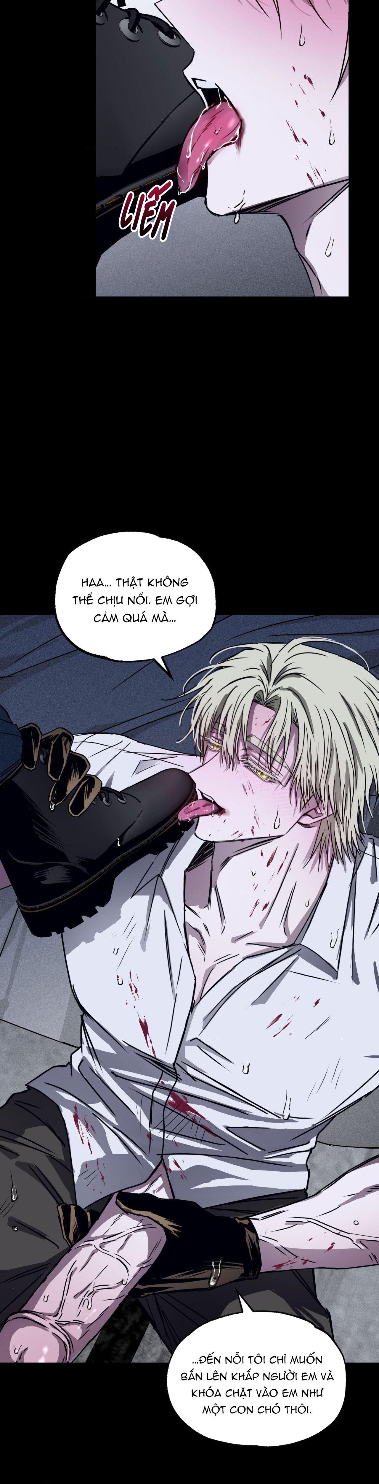 MẮT BÃO - Chap 5