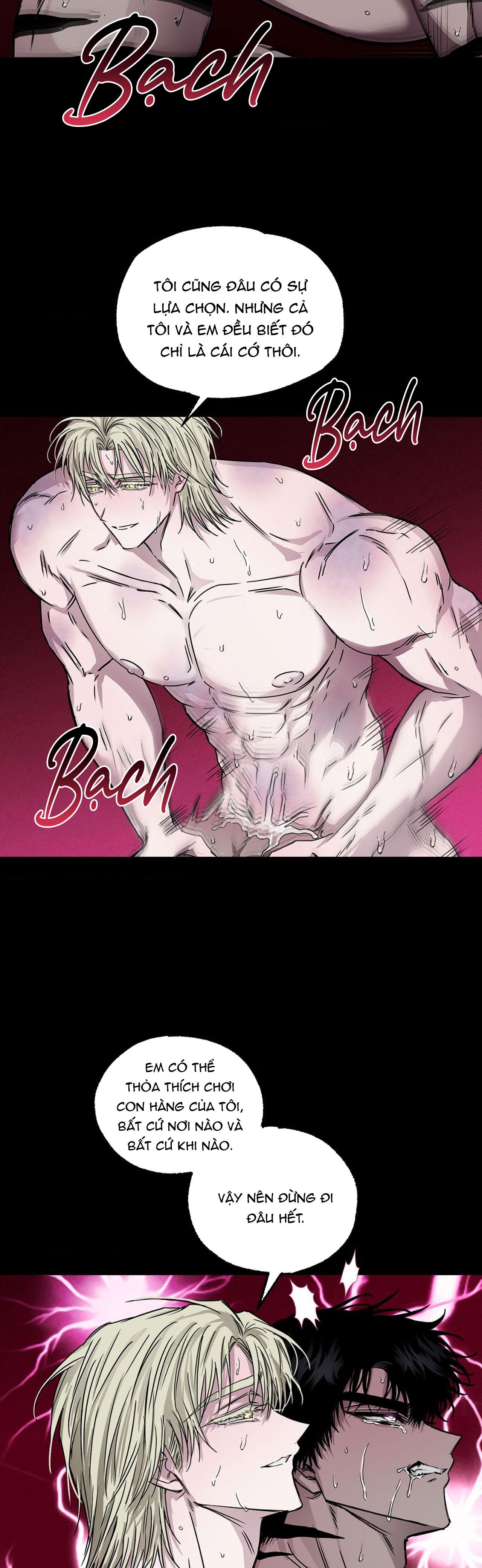 MẮT BÃO - Chap 6
