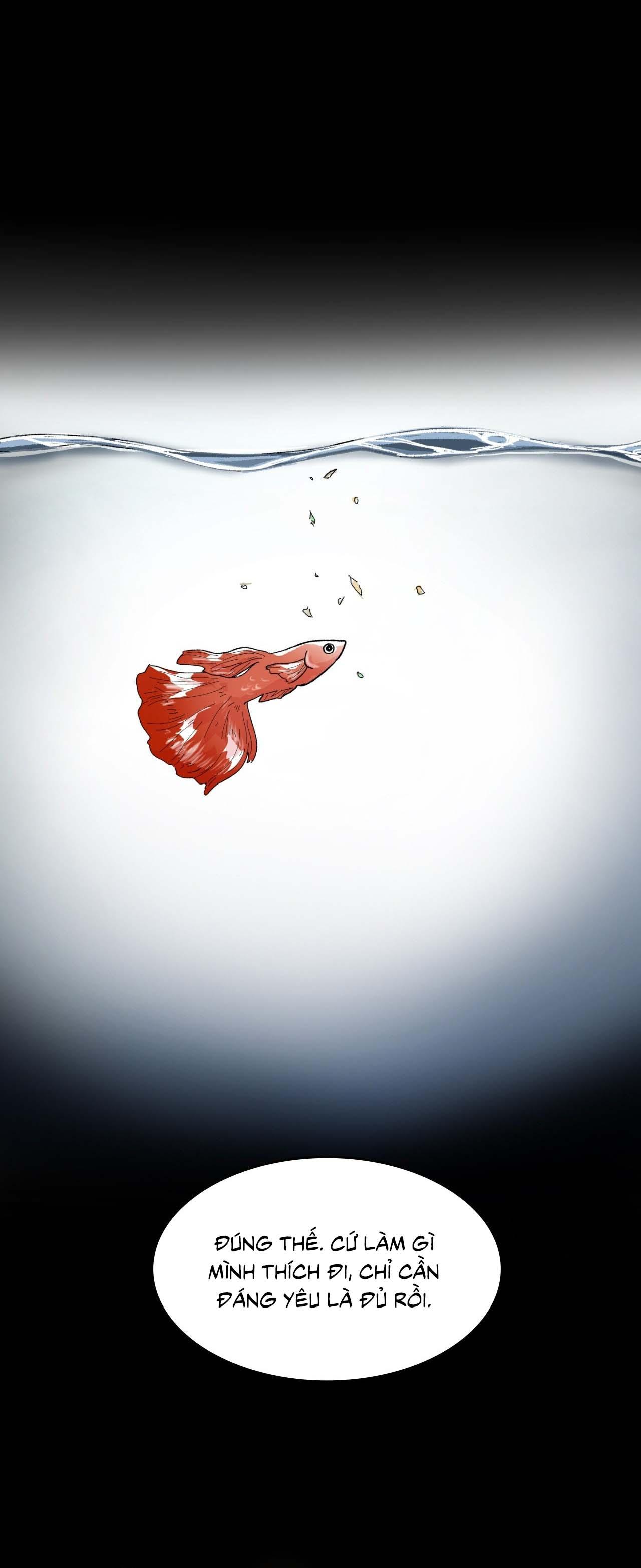 Anh Là Ai, Nhà Sáng Tạo Nội Dung? - Chap 5