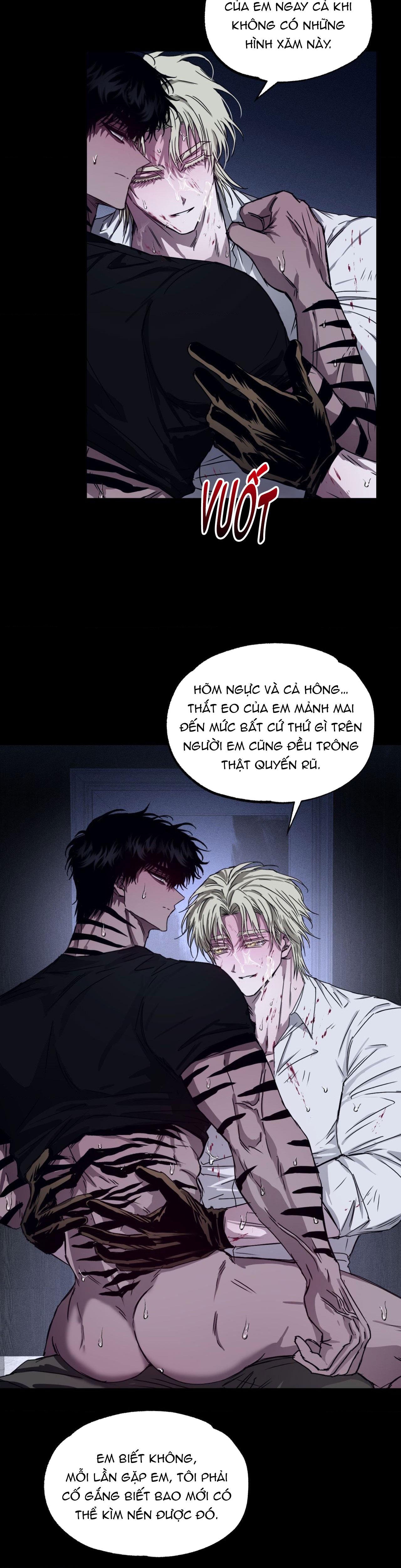 MẮT BÃO - Chap 5