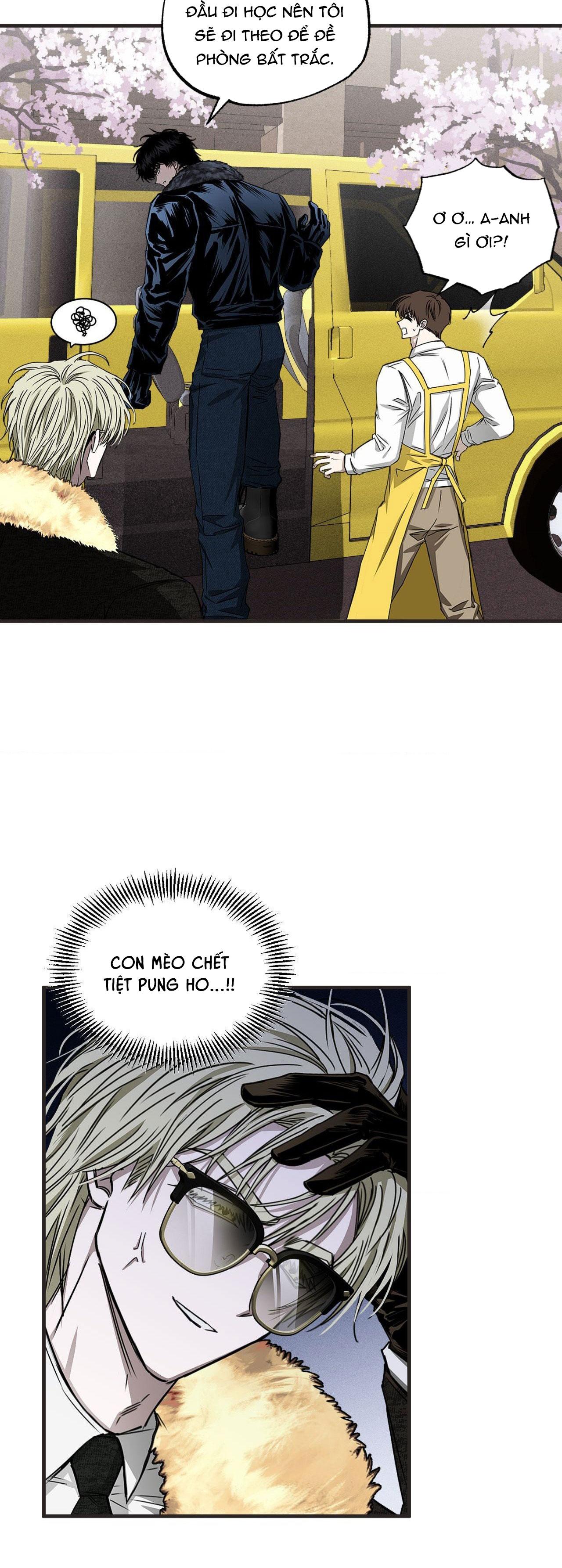 MẮT BÃO - Chap 4