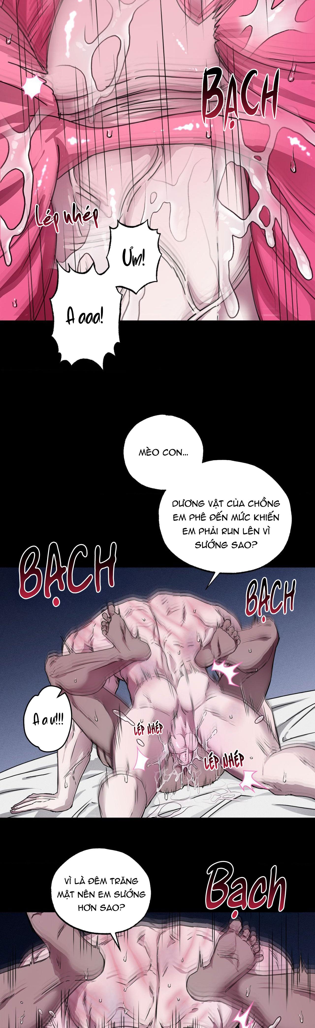 MẮT BÃO - Chap 6