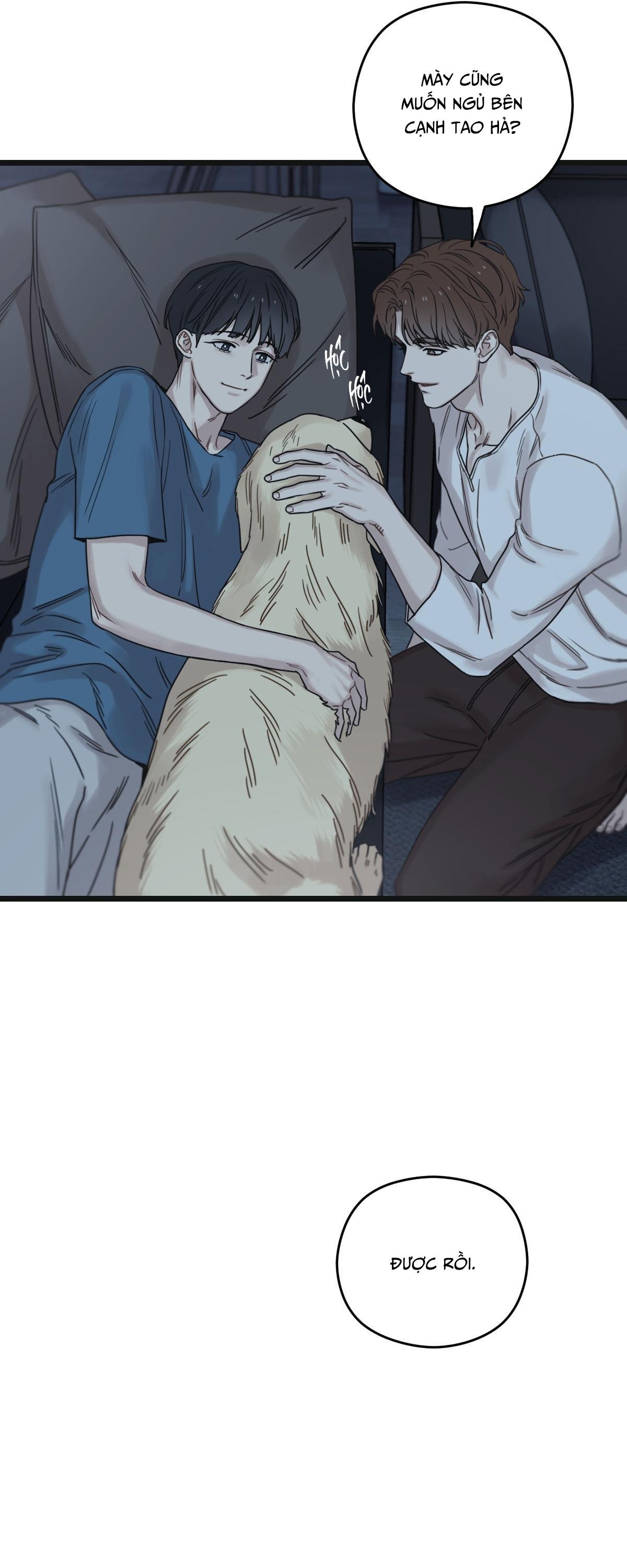 TRÙNG PHÙNG - Chap 54