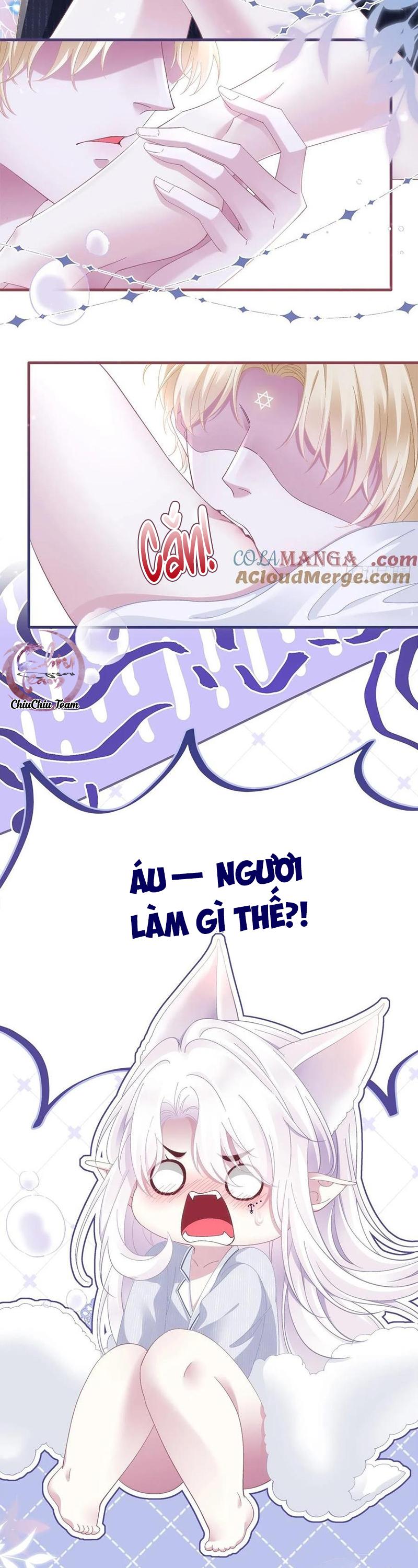 Thánh Tâm không dễ chọc - Chap 69