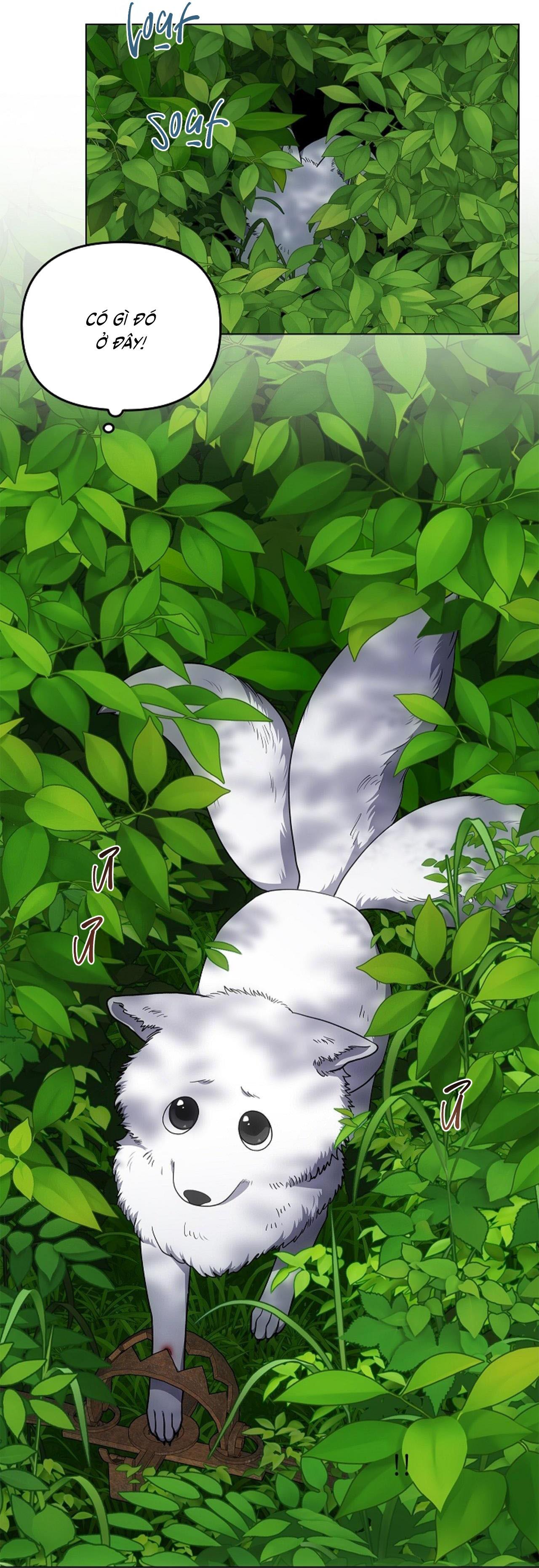 (CBunu) Đuổi Bắt Giữa Đêm Ngọt Ngào - Chap 28