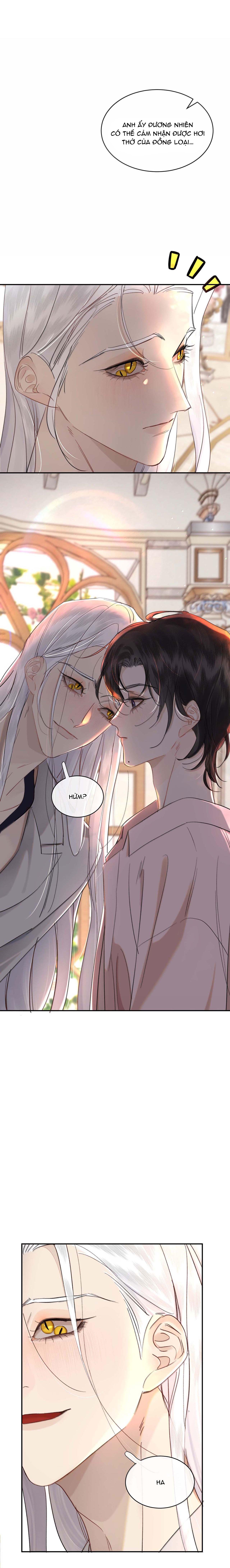 Không Thể Cưỡng Lại Người Yêu Dính Người - Chap 79