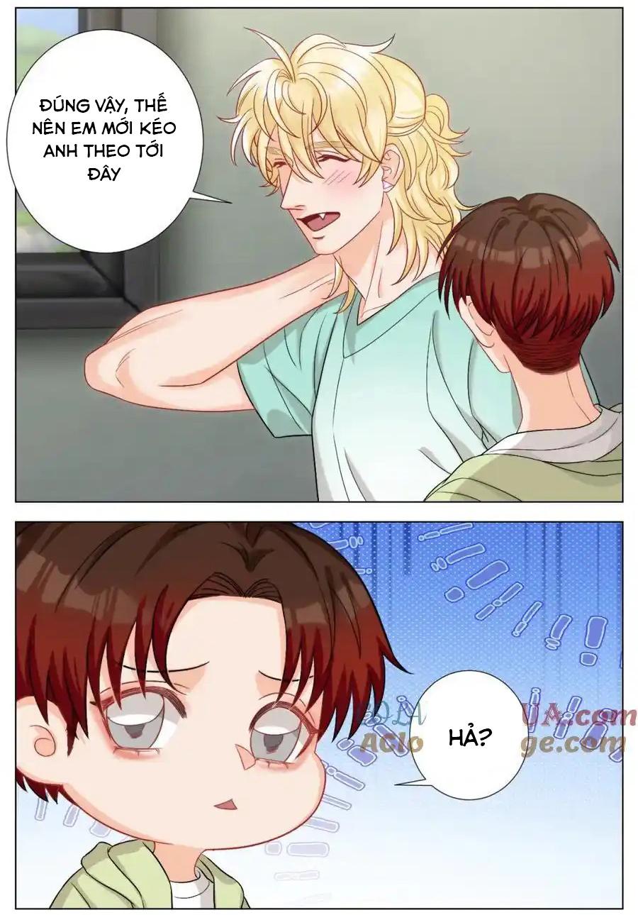 Ký túc xá nam phòng 303 - Chap 246