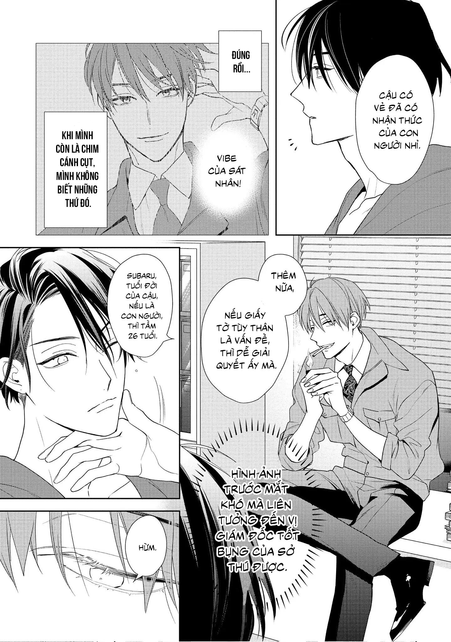 Đêm Diệu Kỳ - Chap 1