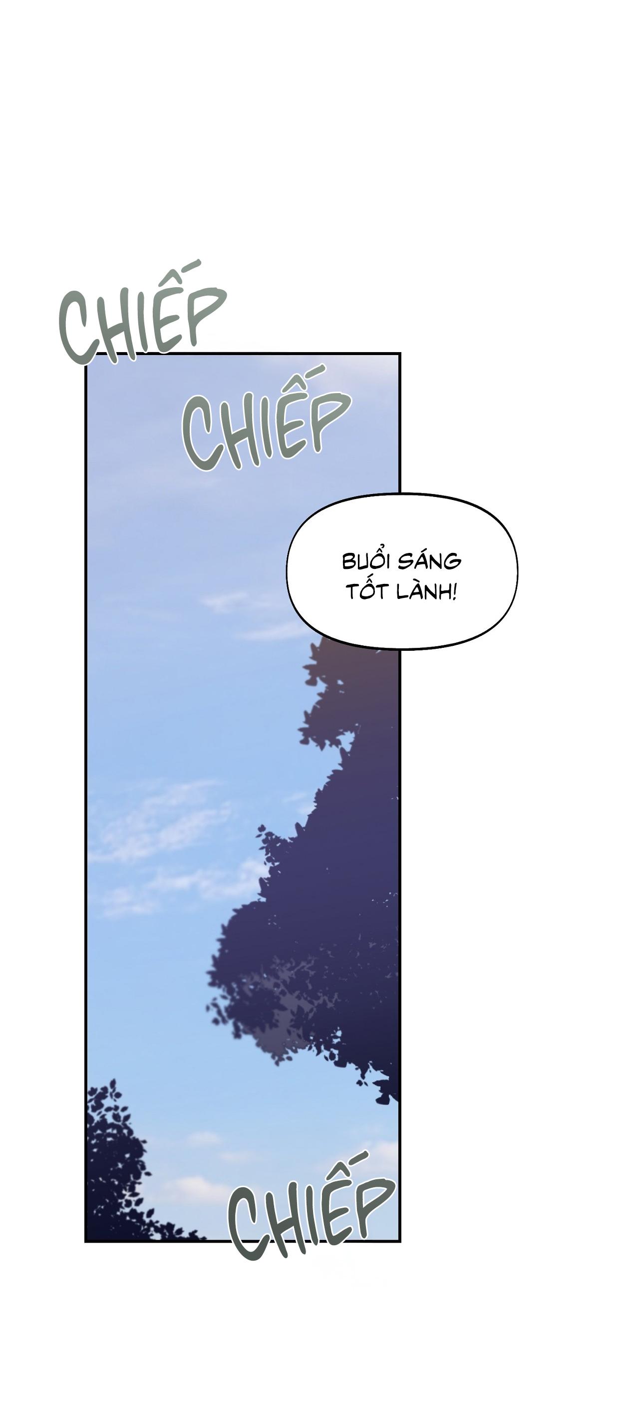 NERD PROJECT - Chap 40