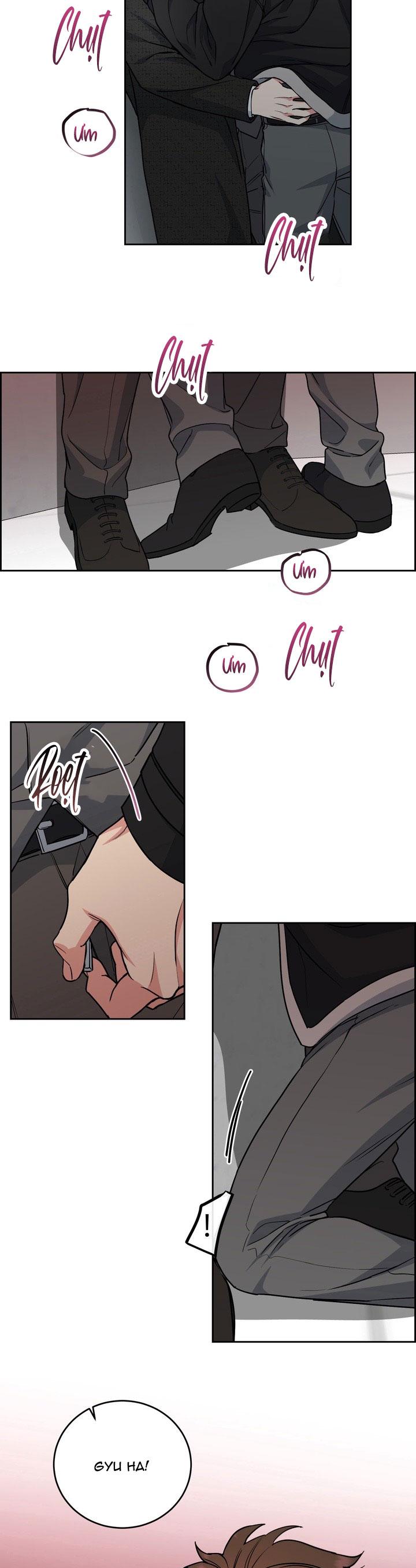 CHÓ VÀ CHIM - Chap 55