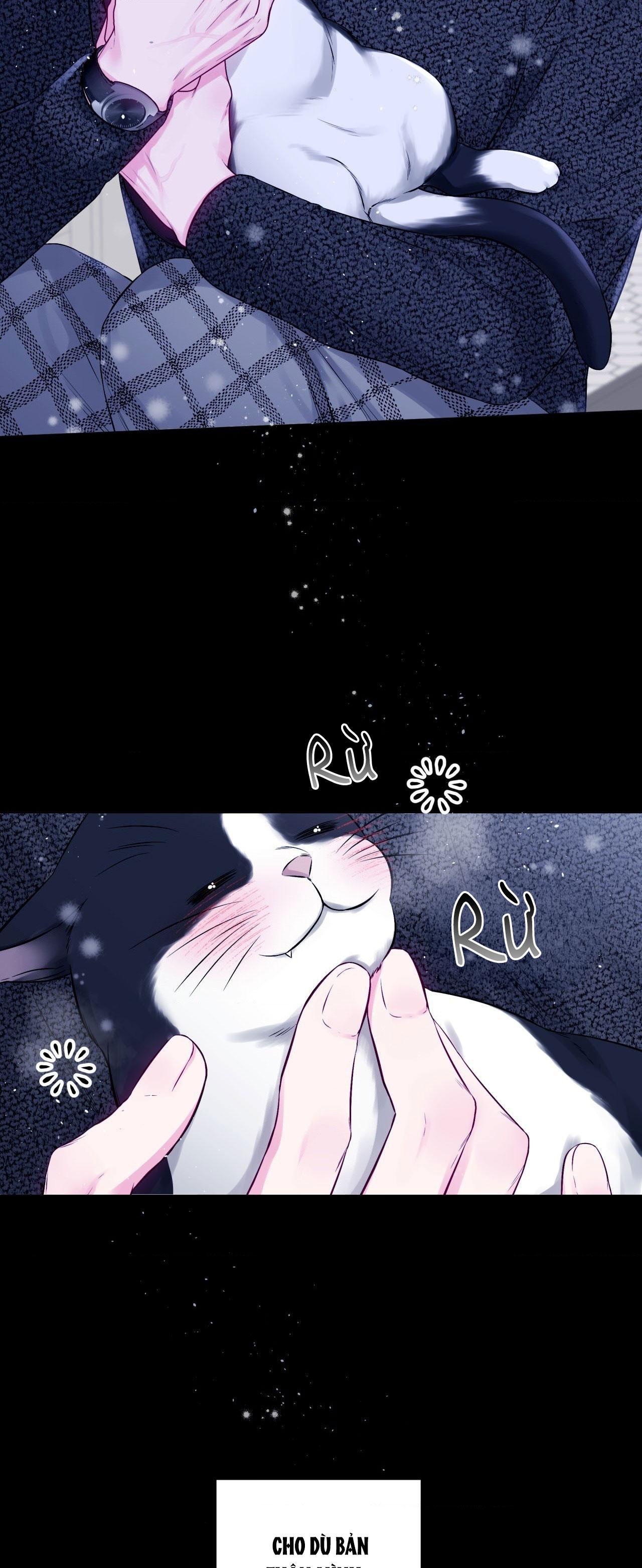 CHÚNG TA KHÔNG HOÀN HẢO - Chap 2