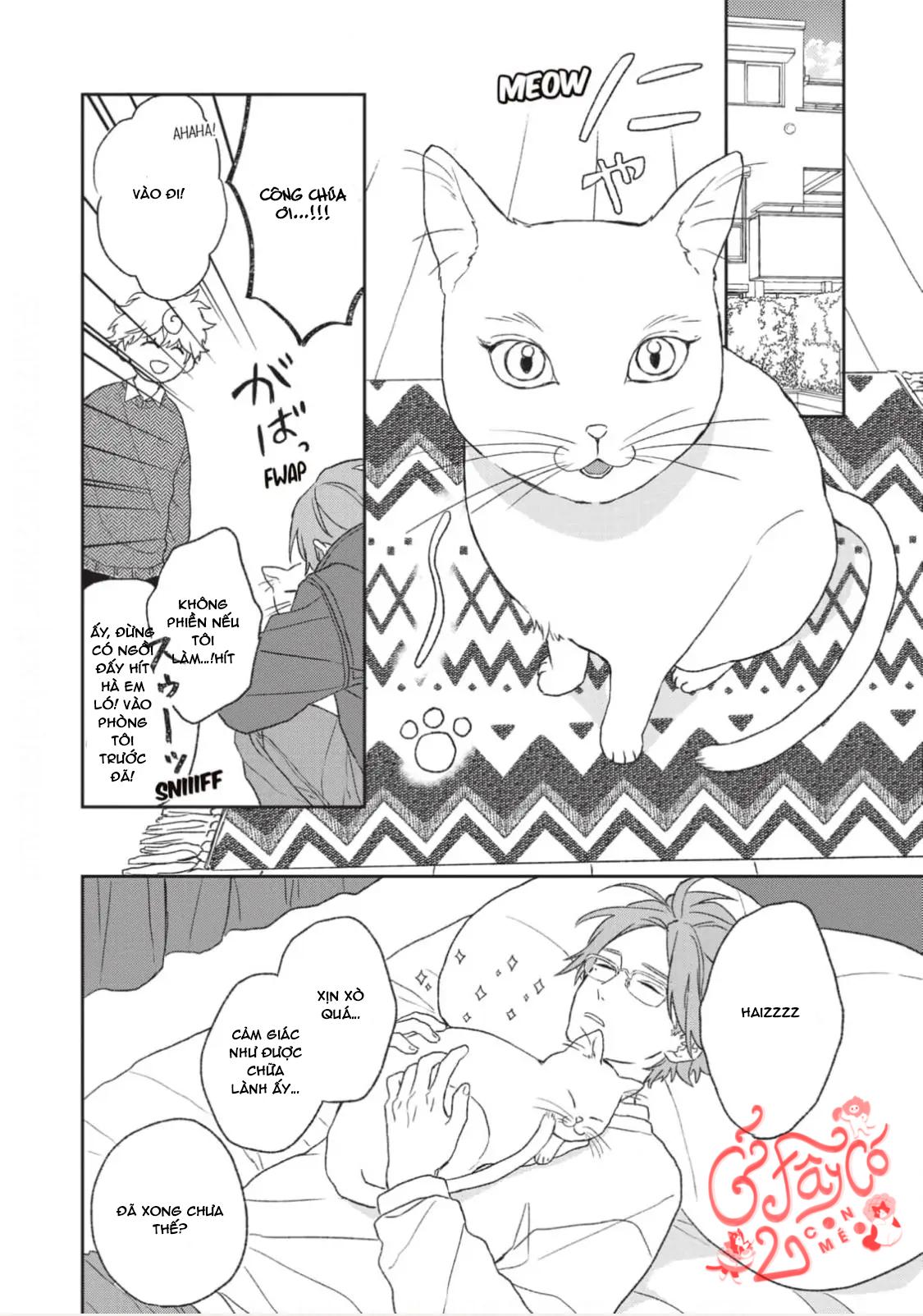 Kanshaku Dama no Love Song - Chap 6