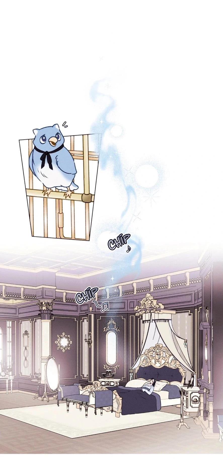 Xuyên Thành Bá Tước Omega - Chap 1