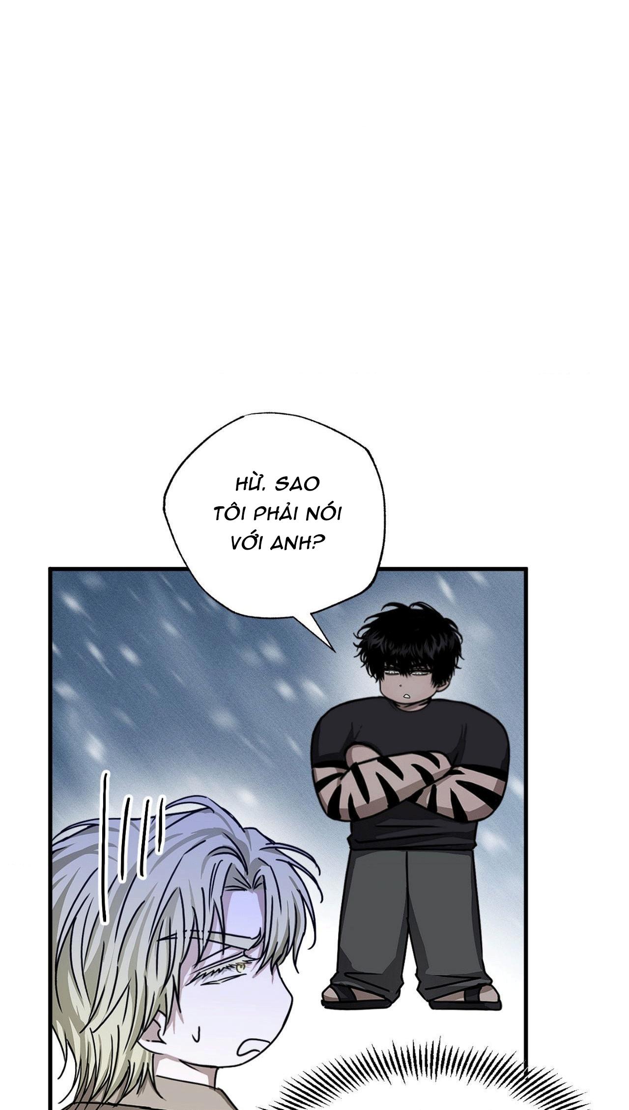 MẮT BÃO - Chap 10