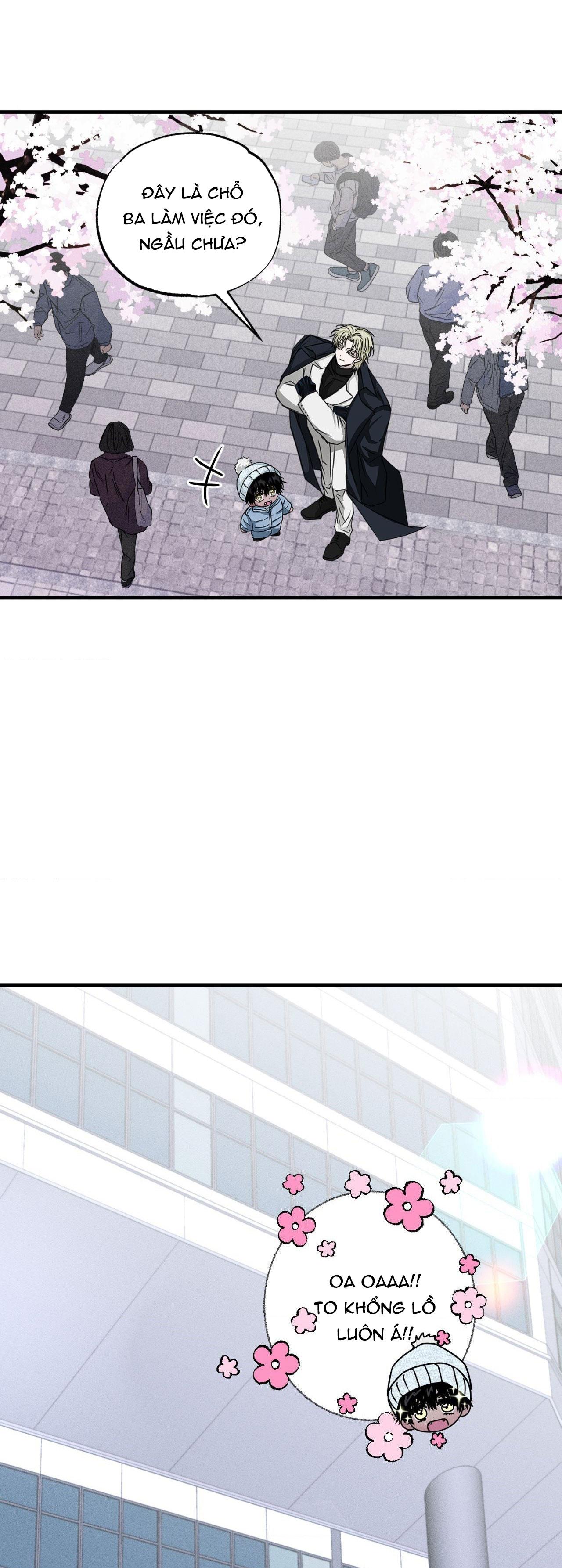 MẮT BÃO - Chap 8