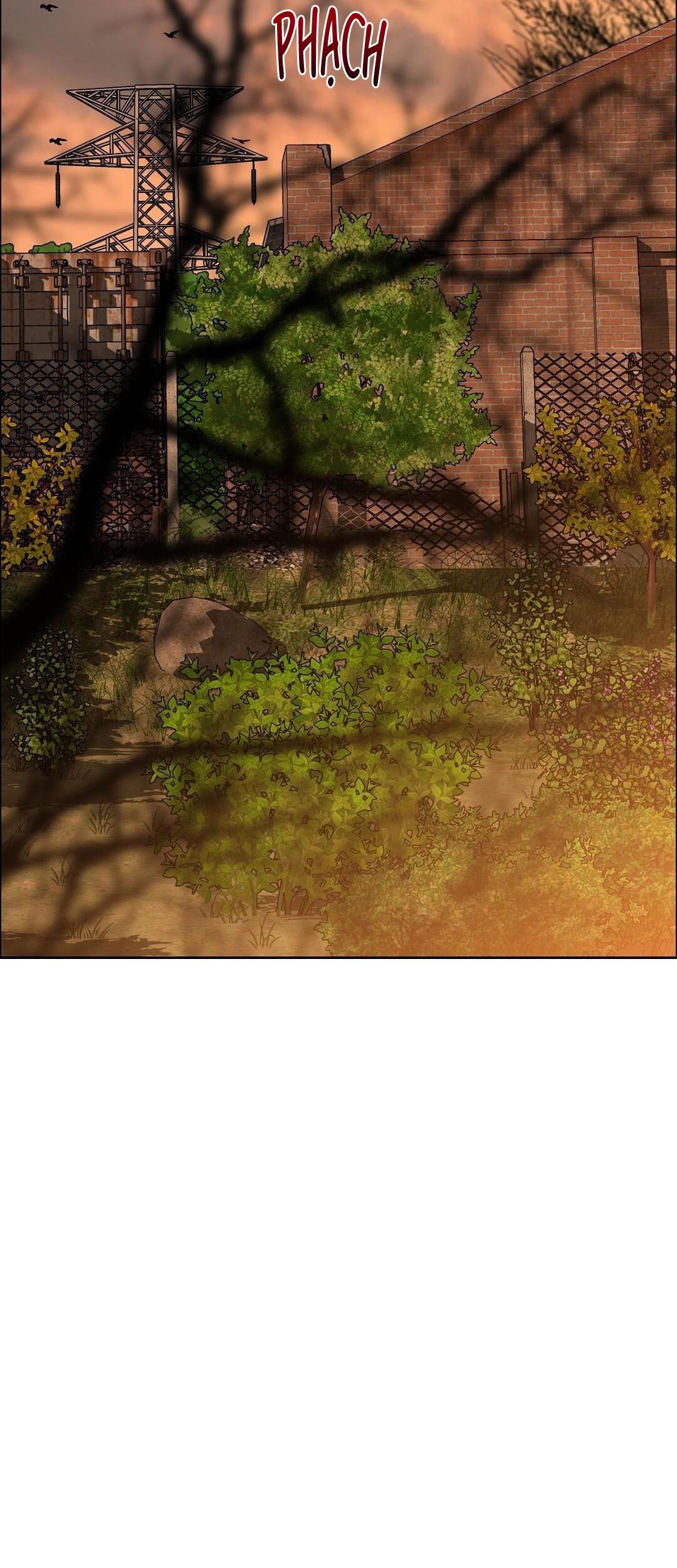 (CBunu) Cherry Cake - Chap 30