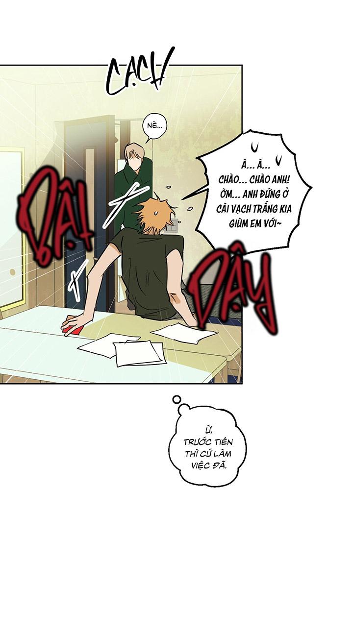 Phiên Bản Hoàn Hảo - Chap 1