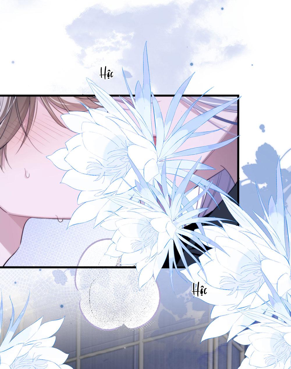 Nhân Ngư Desharow - Chap 94