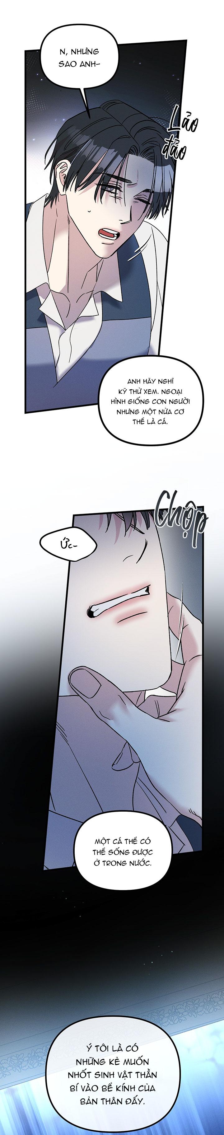 Mermaid's Cradle - Chap 10