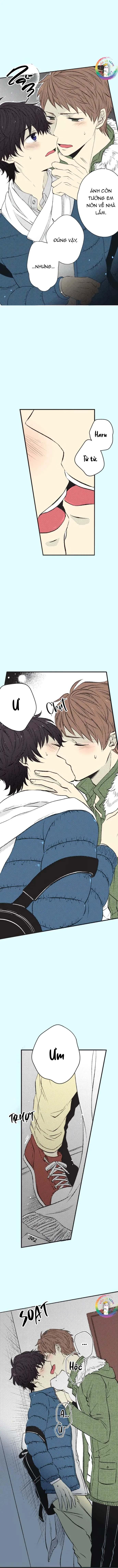 Cây Nhỏ Và Mùa Xuân Thân Yêu - Chap 44