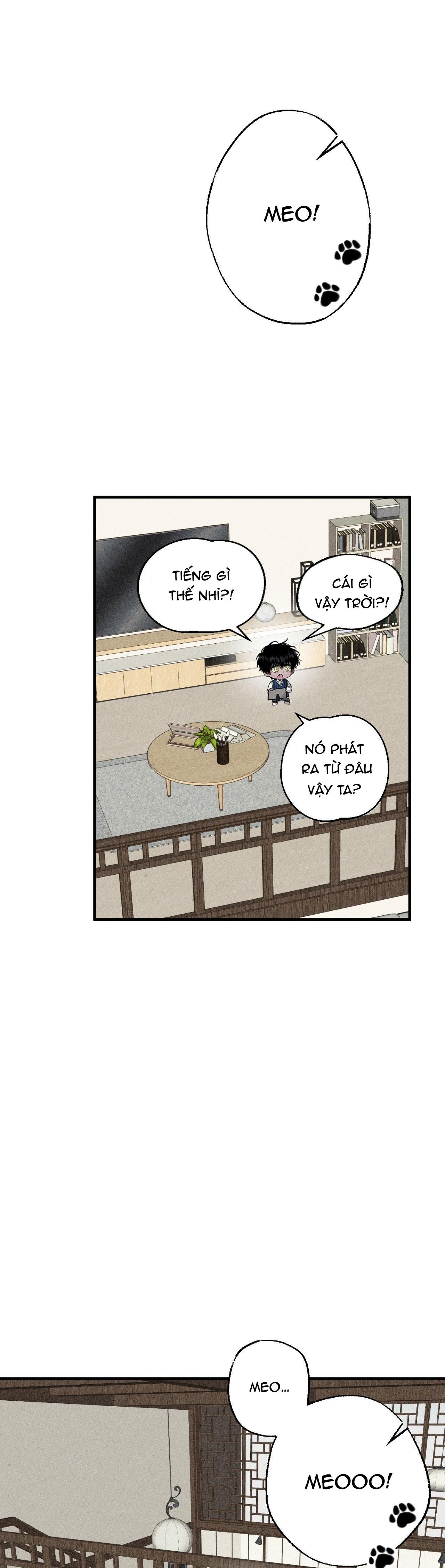 MẮT BÃO - Chap 13