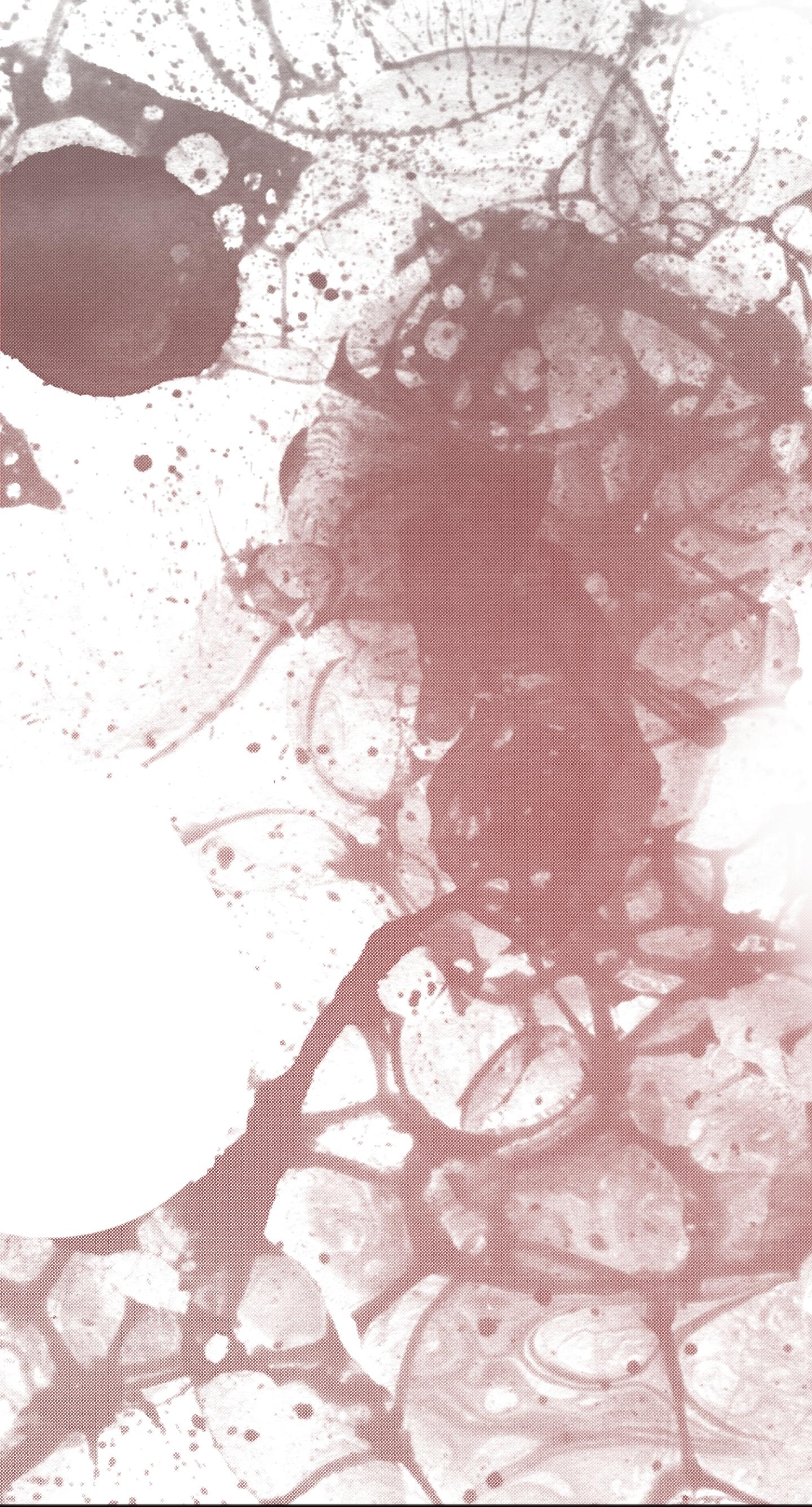 KHI VẬN MỆNH ĐƯA LỐI - Chap 7