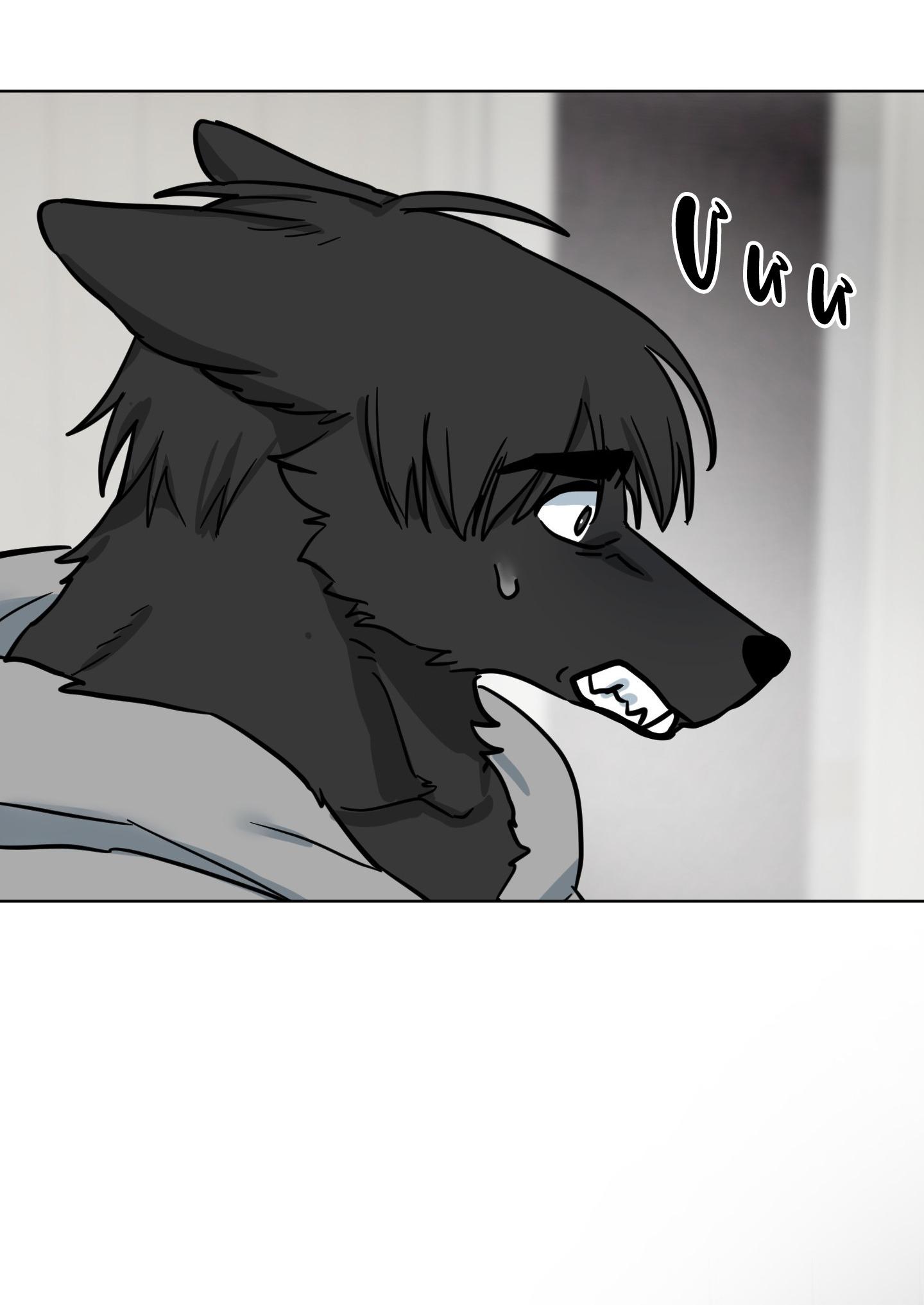 CHÚ ĐÃ BIẾT HẾT RỒI SAO ? - Chap 37