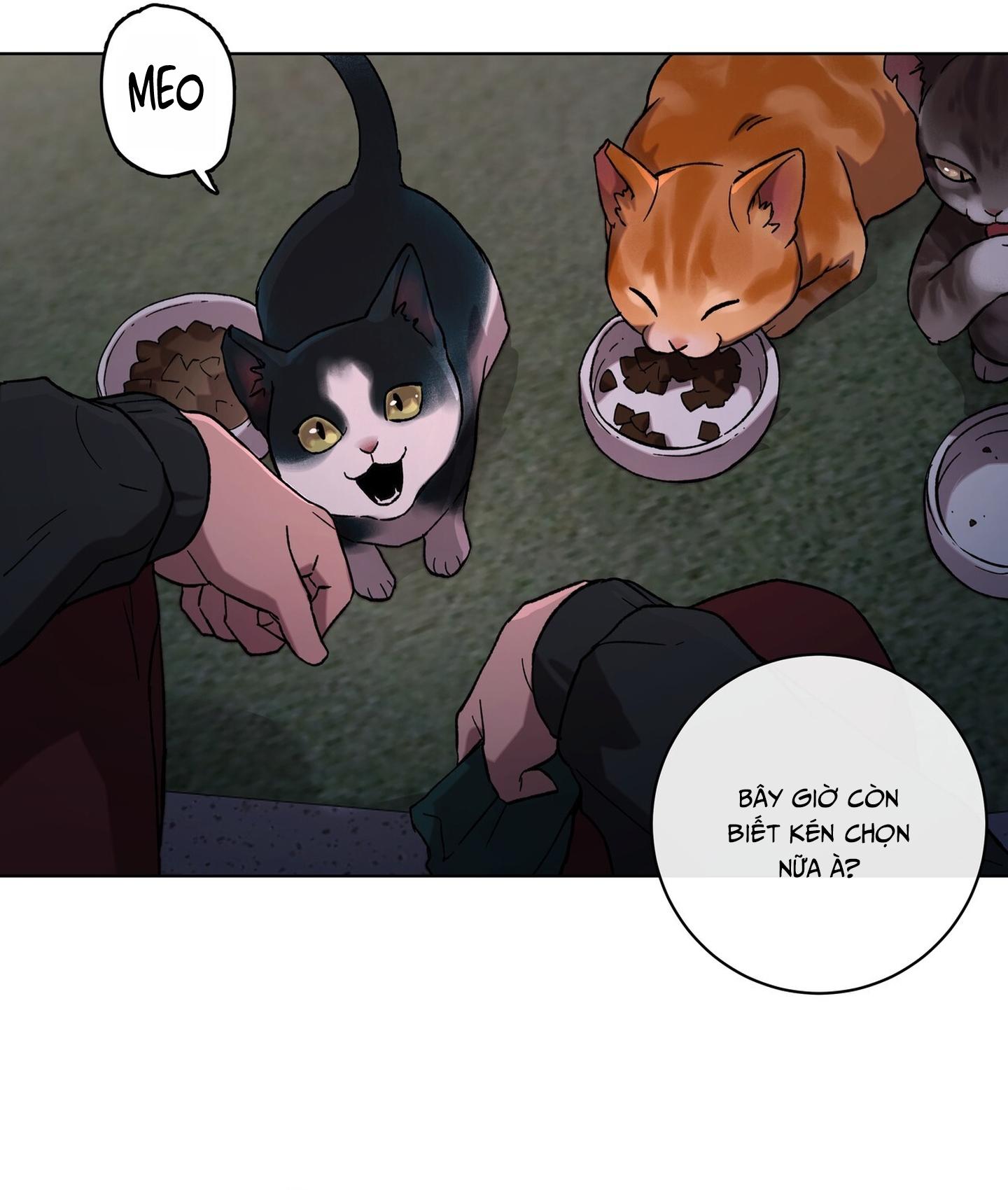 TUYỂN TẬP ÁM ẢNH, MƯU MÔ CÔNG - Chap 9.1 - Trang 9