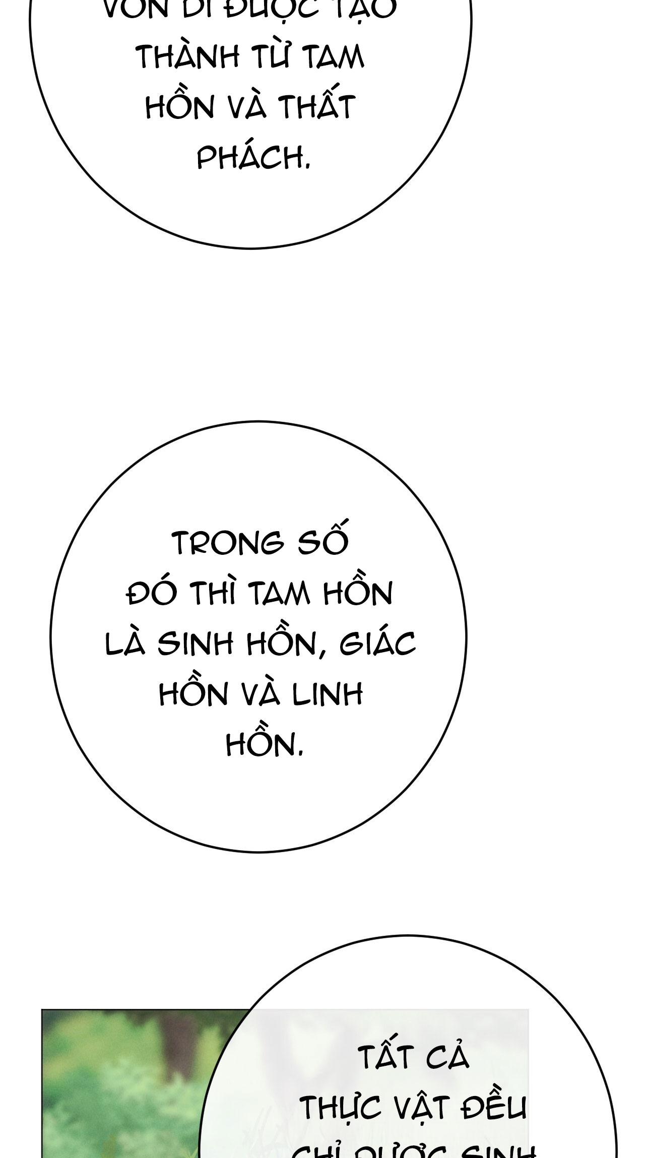 QUẺ BÓI GIẤC MƠ CỦA YÊU TINH - Chap 58