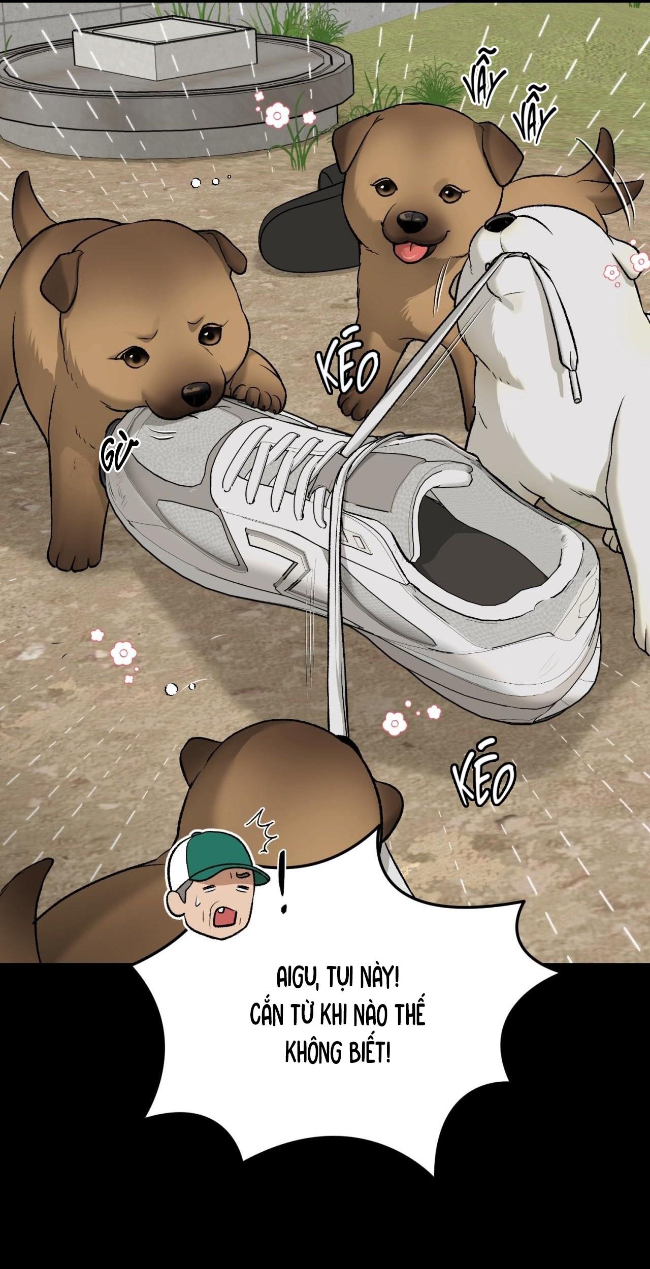 (CBunu) ChinhX - Vận Xui - Chap 70