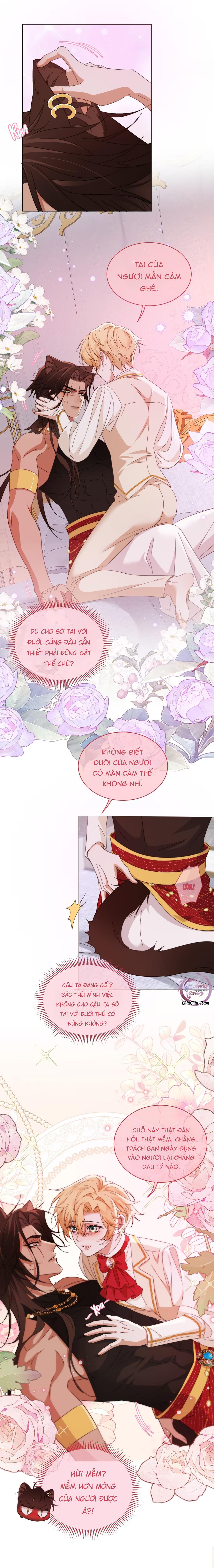 Báo Đen Chiếm Đoạt Hoàng Tử Yếu Đuối - Chap 9