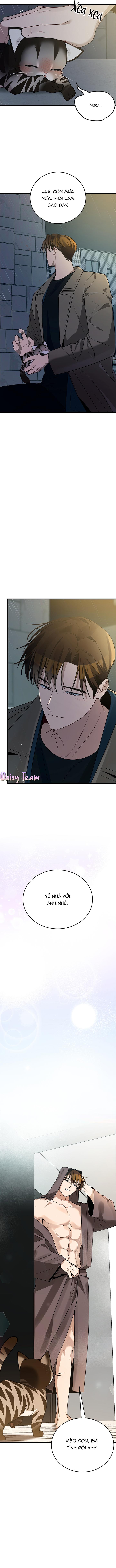 Sinh mèo con cho tôi mau trước khi thằng này điên lên - Chap 2
