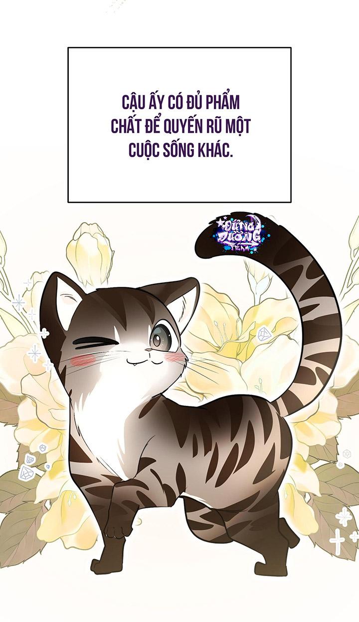 [DDT] HÃY SINH NHẤT MIÊU HÀI WILDCAT, NHƯ BẤT DỤC KIẾN NGÃ PHÁT CUỒNG! - Chap 1