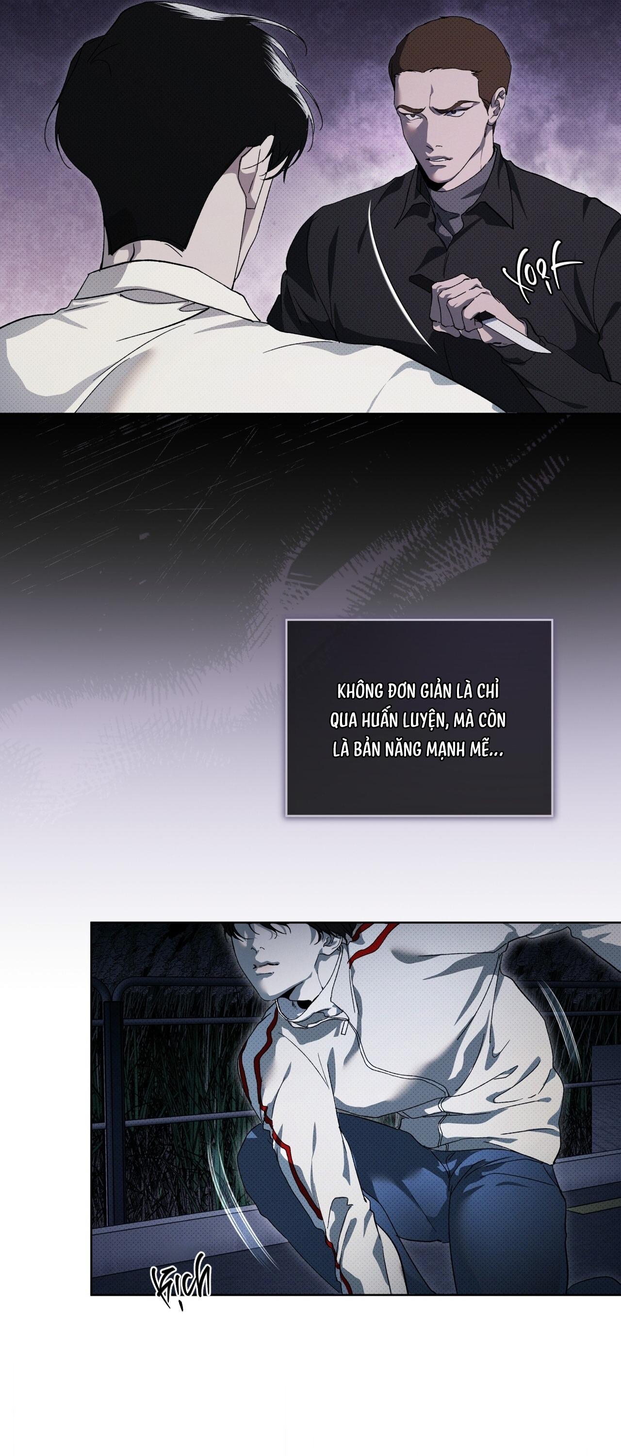 (GĐCV) HÌNH THÁI TIẾN HÓA - Chap 13